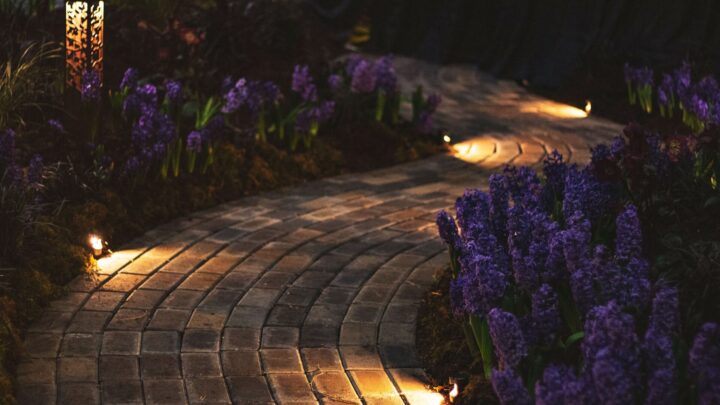 Ein beleuchteter Gartenpfad für gewunden in einem Garten zwischen Lavendel